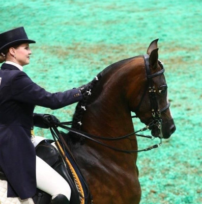cort and maggie show hack