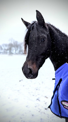 ella winter photo